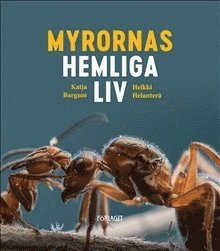 Cover for Annika Luther · Myrornas hemliga liv (Bound Book) (2019)