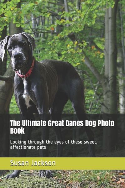 Cover for Susan Jackson · The Ultimate Great Danes Dog Photo Book (Paperback Book) (2020)