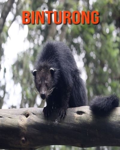 Cover for William Doyle · Binturong (Paperback Book) (2020)