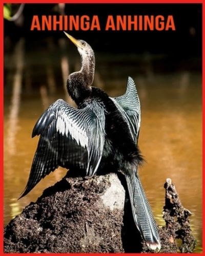 Cover for Annie Nichols · Anhinga anhinga: Fatti divertenti e foto incredibili degli animali nella natura (Paperback Book) (2021)