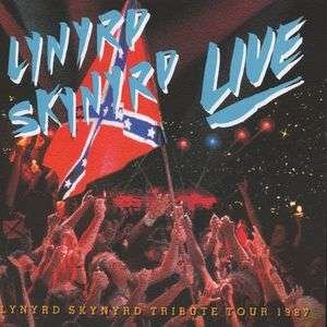 Cover for Lynyrd Skynyrd · Southern By The Grace Of God (CD) [Live edition] (1999)