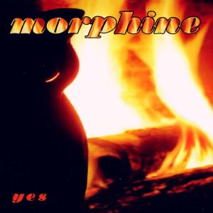 Morphine-yes - Morphine - Muziek - RYKODISC - 0014431032028 - 21 maart 1995