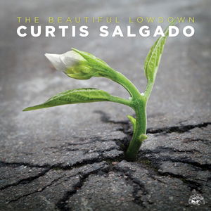 The Beautiful Lowdown - Curtis Salgado - Musiikki - ALLIGATOR - 0014551497028 - perjantai 8. huhtikuuta 2016