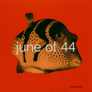 In the Fishtank 6 - June of 44 - Muziek - IN THE FISHTANK - 0018752038028 - 31 maart 2023