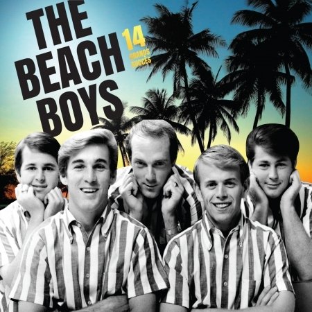 Cover for The Beach Boys · 14 Grands Succes (CD) (2020)