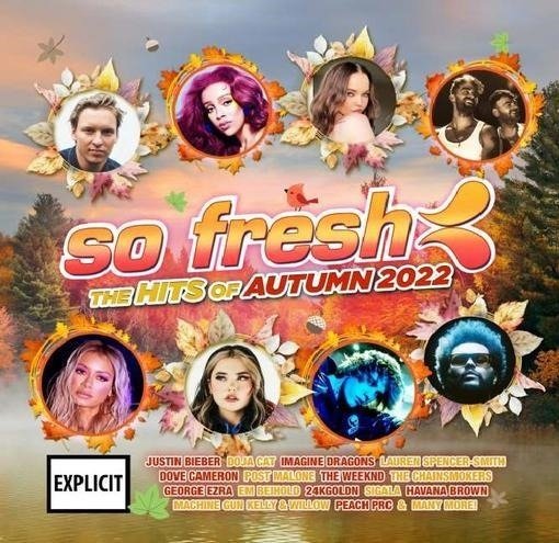 Cover for So Fresh the Hits of Autumn 2 · So Fresh: The Hits Of Autumn 2022 (CD) (2022)