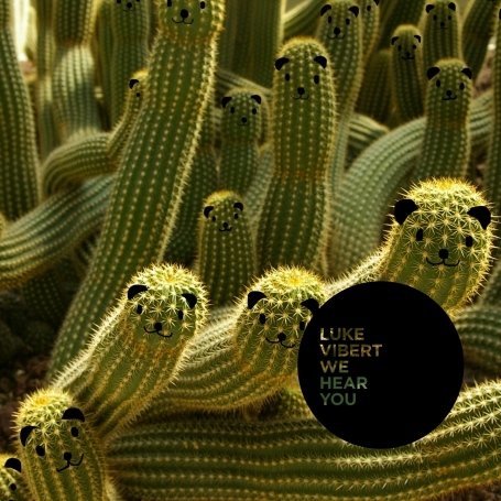 Cover for Luke Vibert · We Hear You (CD) (2013)