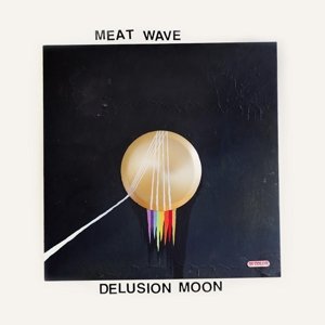 Delusion Moon - Meat Wave - Musiikki - SIDEONEDUMMY - 0603967159028 - perjantai 18. syyskuuta 2015