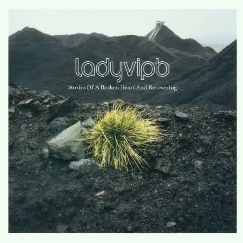 Cover for Ladyviph · Stories of a Broken Heart (CD) (2001)