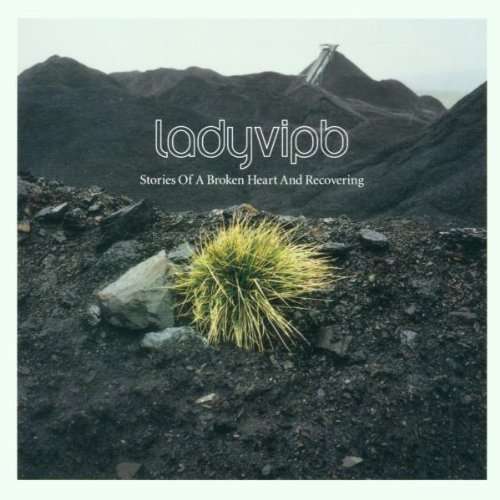 Cover for Ladyviph · Stories of a Broken Heart (CD) (2001)