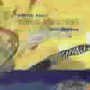 Isola Lontana - Alberto Nacci Alma Quartet - Musikk - Splasc(H) - 0716642031028 - 2000