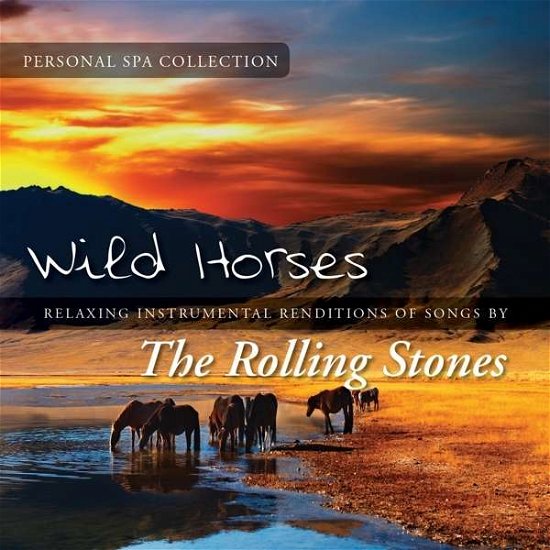 Wild Horses - Judson Mancebo - Musique - NEW WORLD MUSIC - 0767715072028 - 18 mars 2016