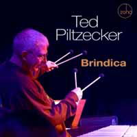 Cover for Ted Piltzecker · Brindica (CD) (2019)