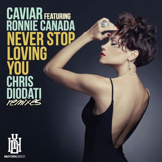 Cover for Caviar · Never Stop Loving You (Chris Diodati Remixes)-Cavi (CD) [EP edition] (2014)