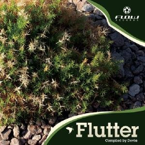 Cover for Flutter (CD) (2010)