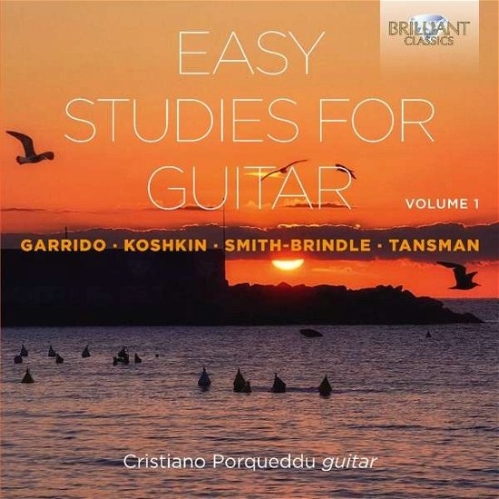 Easy Studies for Guitar 1 - Cristiano Porqueddu - Música - BRILLIANT CLASSICS - 5028421954028 - 29 de noviembre de 2016