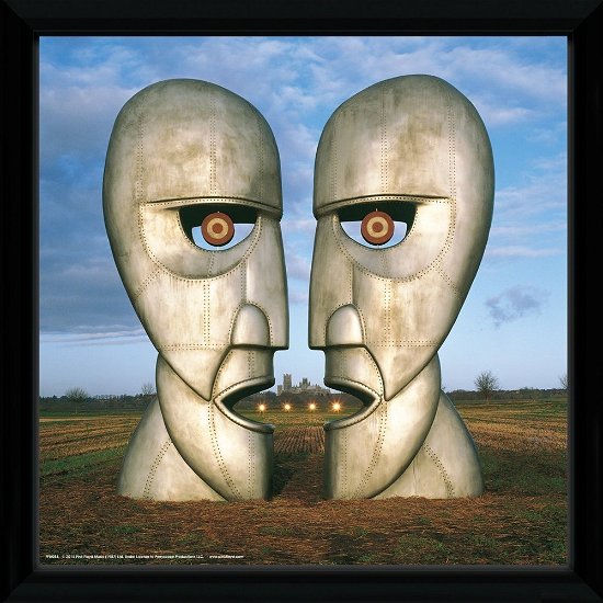 Pink Floyd: Metal Heads (Stampa In Cornice 30x30 Cm) - Pink Floyd - Merchandise -  - 5028486333028 - 