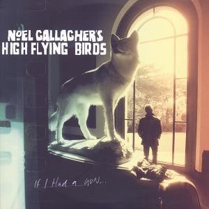 Cover for Noel Gallagher's High Flying Birds · If I Had a Gun (SCD) (2011)