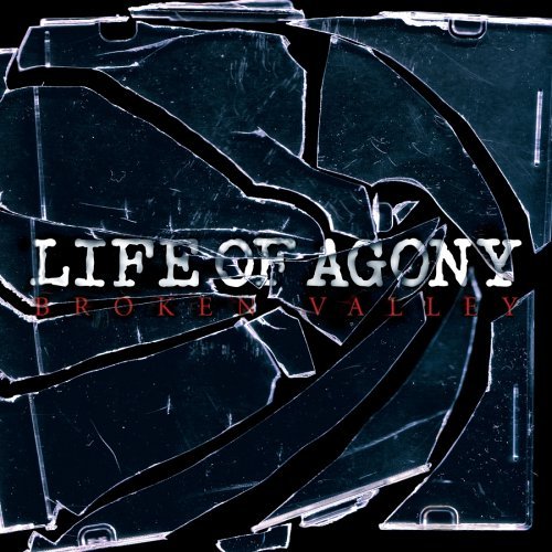 Broken Valley - Life of Agony - Musikk - Epic - 5099752010028 - 30. mai 2005