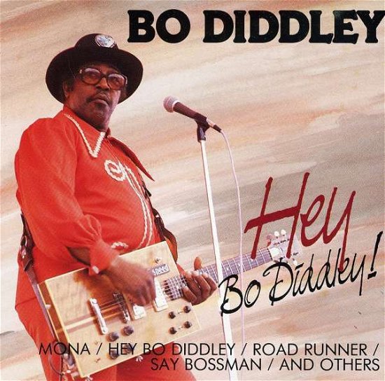 Cover for Bo Diddley · Hey Bo Diddley (CD) (2011)
