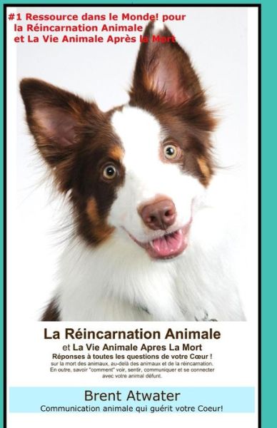 Cover for Brent Atwater · La Reincarnation Animales et La Vie Animale Apres La Mort: Reponses a Toutes Les Questions De Votre Coeur! (Paperback Book) [French edition] (2014)