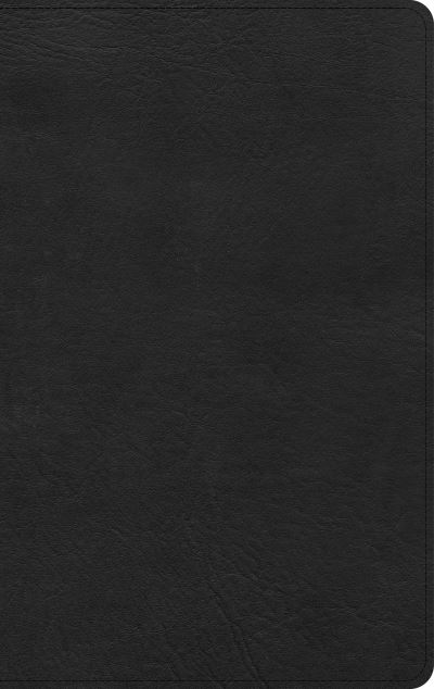 Cover for Holman Bible Holman Bible Staff · KJV Ultrathin Bible, Black LeatherTouch (Book) (2021)