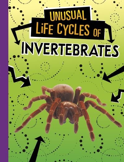 Cover for Jaclyn Jaycox · Unusual Life Cycles of Invertebrates - Unusual Life Cycles (Pocketbok) (2023)