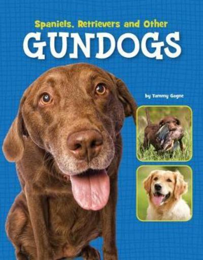 Cover for Tammy Gagne · Spaniels, Retrievers and Other Gundogs - Edge Books: Dog Files (Paperback Book) (2018)