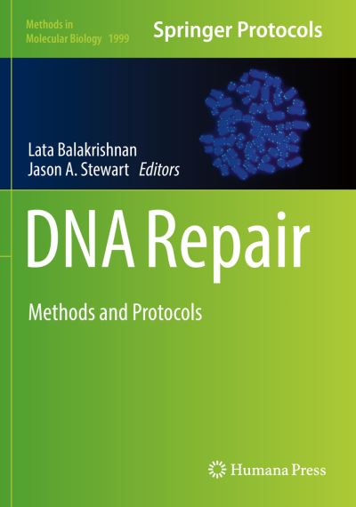 Cover for DNA Repair: Methods and Protocols - Methods in Molecular Biology (Paperback Book) [2019 edition] (2020)
