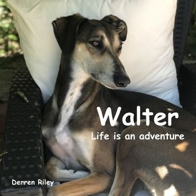 Cover for Derren Riley · Walter, Life is an adventure (Paperback Bog) (2019)