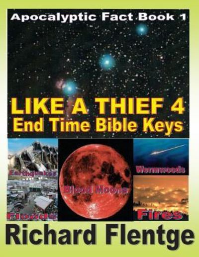 Cover for Richard Flentge · Like A Theif 4 End Time Bible Keys (Paperback Book) (2017)