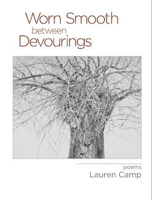 Worn Smooth between Devourings - - Livros - NYQ Books - 9781630451028 - 19 de setembro de 2023
