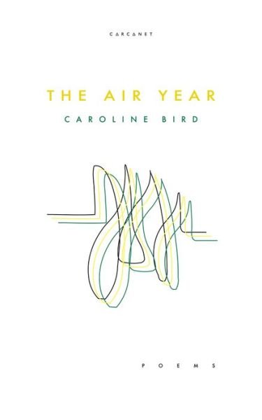 Cover for Caroline Bird · The Air Year (Paperback Book) (2020)