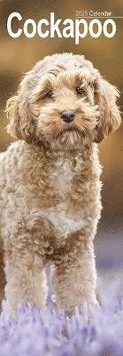 Cockapoo Slim Calendar 2025 Dog Breed Slimline Calendar - 12 Month (Kalender) (2024)