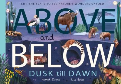 Cover for Harriet Evans · Above and Below: Dusk till Dawn: Lift the flaps to see nature's wonders unfold - Above and Below (Hardcover Book) (2022)