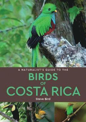 Cover for Steve Bird · A Naturalist’s Guide to the Birds of Costa Rica (2nd edition) - Naturalist's Guide (Paperback Book) [2 Revised edition] (2019)