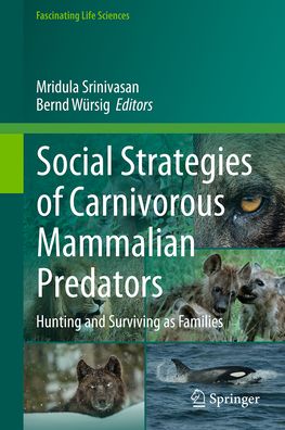 Cover for Mridula Srinivasan · Social Strategies of Carnivorous Mammalian Predators: Hunting and Surviving as Families - Fascinating Life Sciences (Hardcover Book) [2023 edition] (2023)