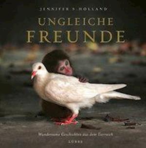 Cover for Holland · Ungleiche Freunde (Bok)