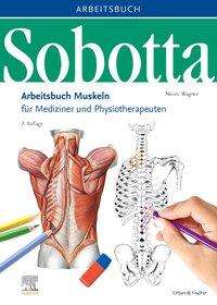 Cover for Wagner · Sobotta Arbeitsbuch Muskeln (Bok)