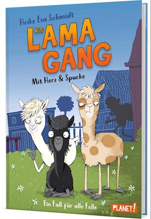 Cover for Heike Eva Schmidt · Die Lama-Gang. Mit Herz &amp; Spucke 1: Ein Fall für alle Felle (Gebundenes Buch) (2021)