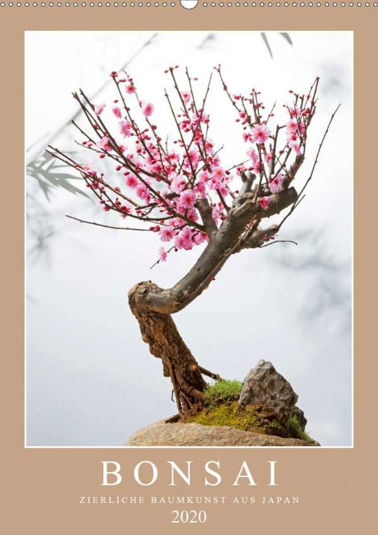 Cover for Bonsai · Zierliche Baumkunst aus Japan ( (Book)