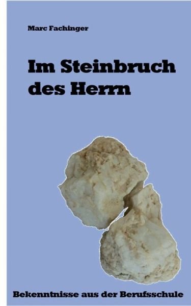 Cover for Fachinger · Im Steinbruch des Herrn (Bok) (2018)