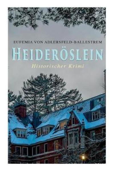 Cover for Eufemia Von Adlersfeld-Ballestrem · Heider slein (Historischer Krimi) (Paperback Book) (2017)