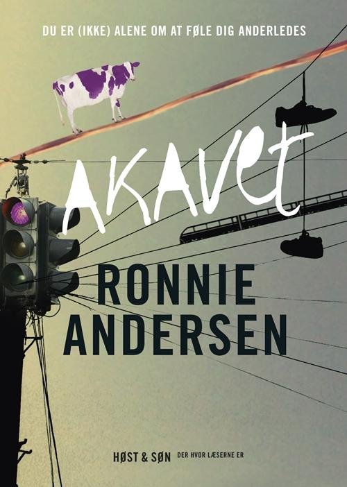 Cover for Ronnie Andersen · Akavet (Sewn Spine Book) [1. Painos] (2014)