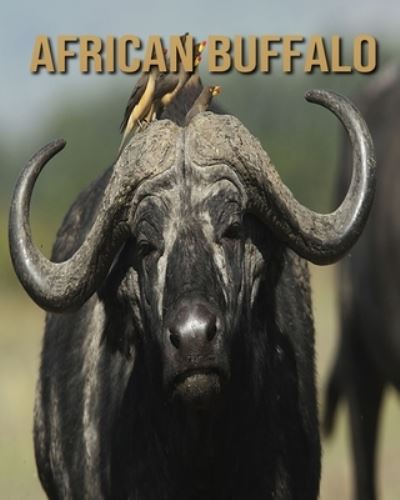 Cover for William Doyle · African buffalo (Paperback Book) (2020)