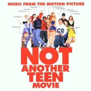 Not Another Teen Movie - Various Artists - Musik - Warner - 0093624825029 - 25 mars 2002