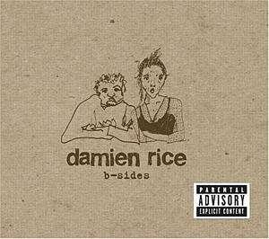 B-sides - Damien Rice - Musik - WARNER BROTHERS - 0093624883029 - 30. juni 1990