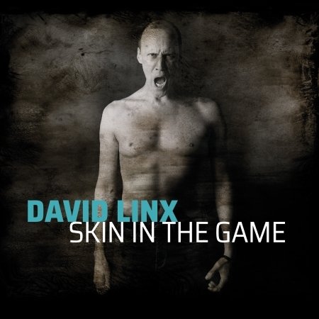 Cover for David Linx · Skin In The Game (CD) (2020)