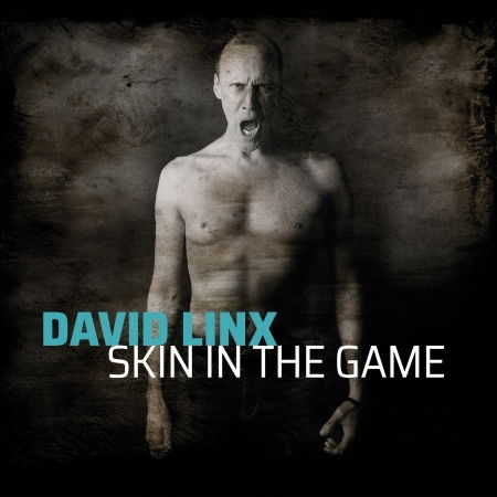 Skin In The Game - David Linx - Música - LABEL DISTRIBUE - 0194397095029 - 18 de setembro de 2020