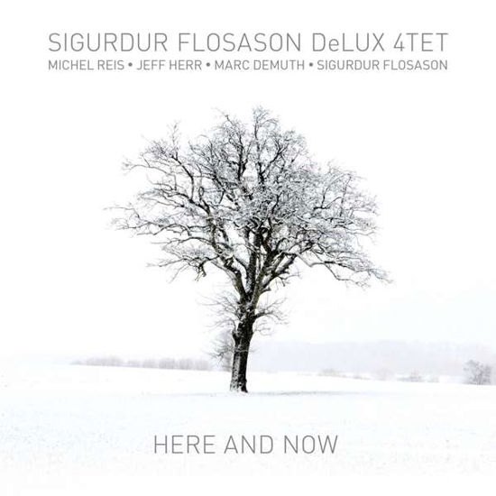 Cover for Sigurdur -Delux 4tet- Flosason · Here And Now (CD) (2019)